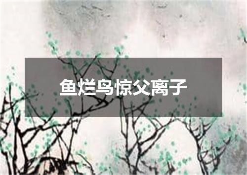 鱼烂鸟惊父离子