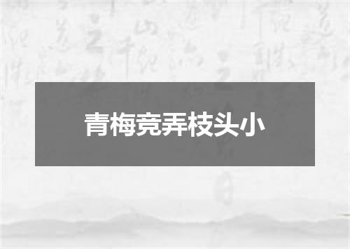 青梅竞弄枝头小