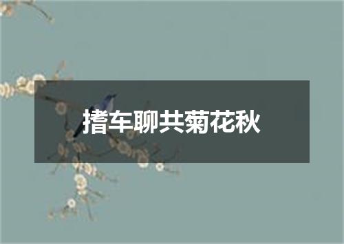 搘车聊共菊花秋