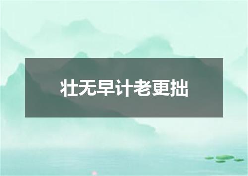 壮无早计老更拙