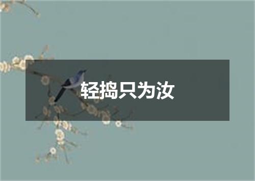 轻捣只为汝