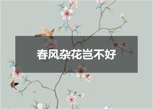 春风杂花岂不好