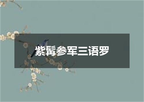 紫髯参军三语罗