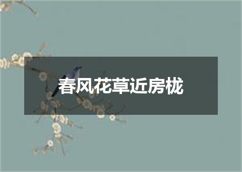 春风花草近房栊