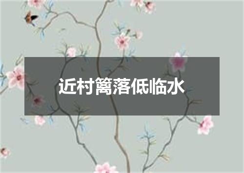 近村篱落低临水