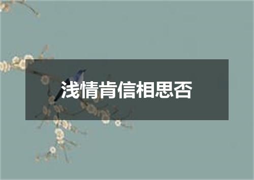 浅情肯信相思否