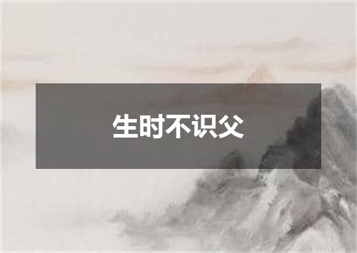 生时不识父