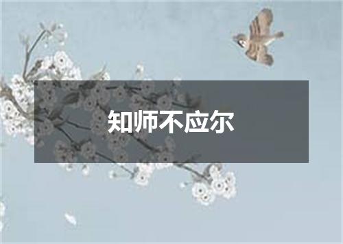 知师不应尔