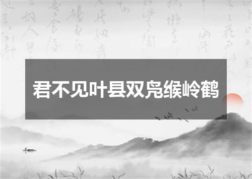 君不见叶县双凫缑岭鹤