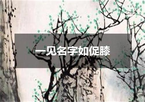 一见名字如促膝