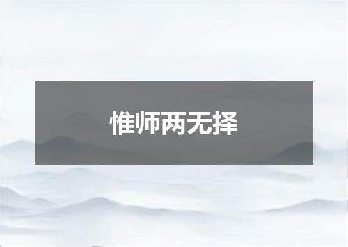 惟师两无择