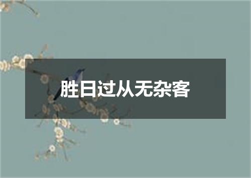 胜日过从无杂客