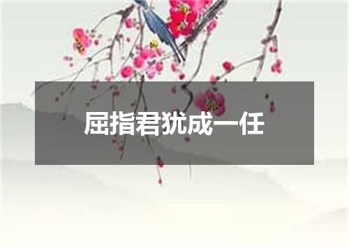 屈指君犹成一任