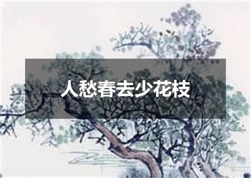 人愁春去少花枝