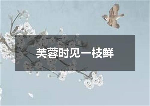 芙蓉时见一枝鲜