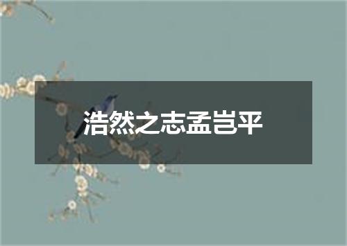 浩然之志孟岂平