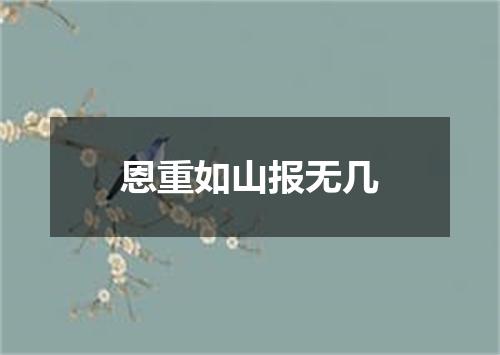 恩重如山报无几