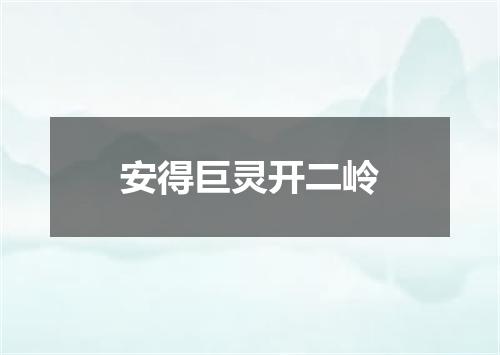 安得巨灵开二岭