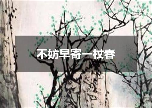 不妨早寄一杖春