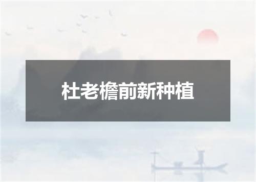 杜老檐前新种植