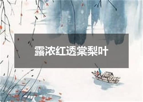 露浓红透棠梨叶