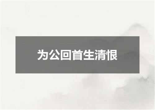 为公回首生清恨