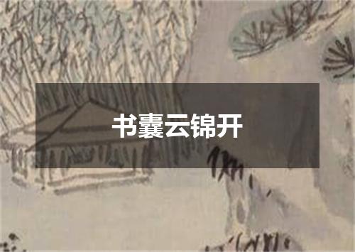 书囊云锦开