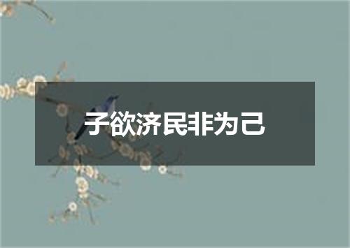 子欲济民非为己