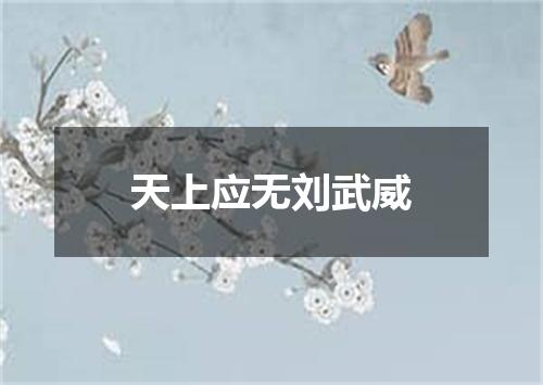 天上应无刘武威