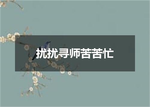 扰扰寻师苦苦忙