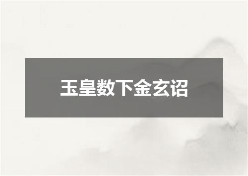 玉皇数下金玄诏