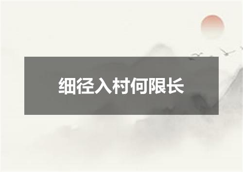 细径入村何限长