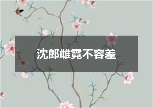 沈郎雌霓不容差