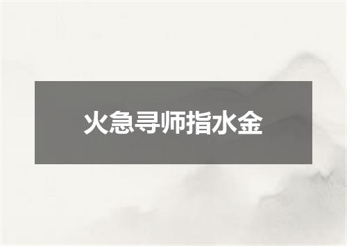 火急寻师指水金