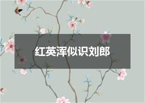 红英浑似识刘郎