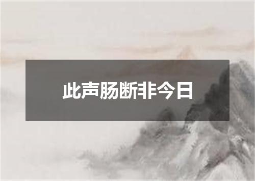 此声肠断非今日