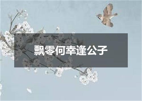 飘零何幸逢公子