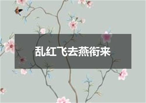 乱红飞去燕衔来