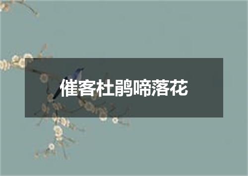 催客杜鹃啼落花