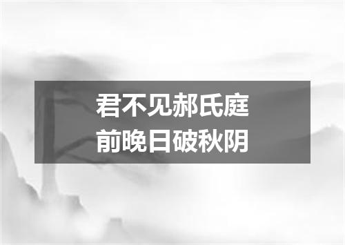 君不见郝氏庭前晚日破秋阴