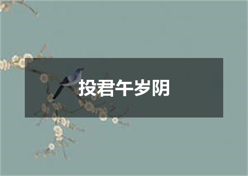 投君午岁阴