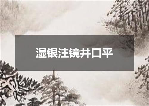 湿银注镜井口平