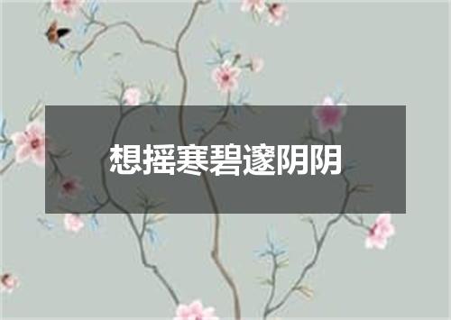 想摇寒碧邃阴阴