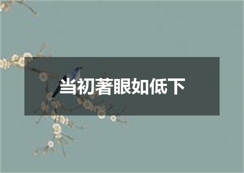 当初著眼如低下