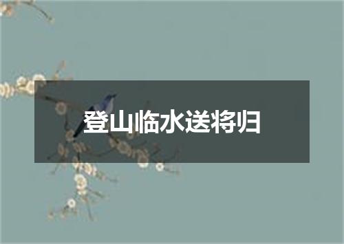 登山临水送将归