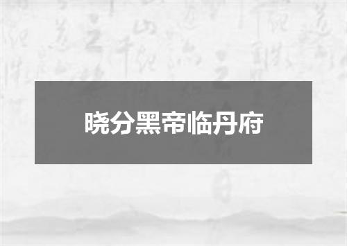 晓分黑帝临丹府