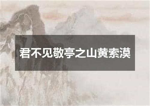 君不见敬亭之山黄索漠