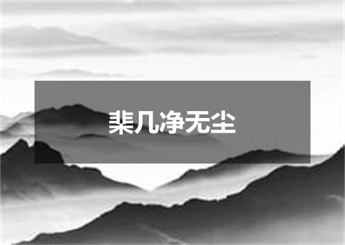 棐几净无尘