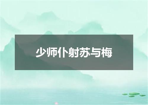 少师仆射苏与梅