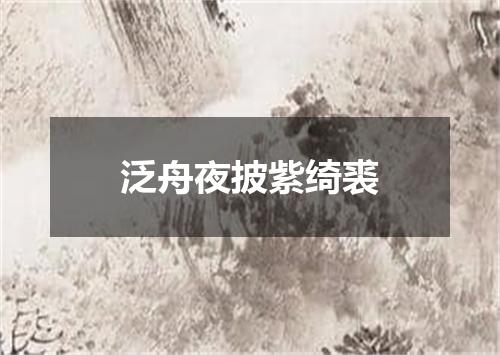 泛舟夜披紫绮裘